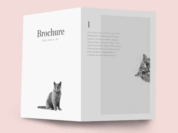 Transparent glass bottle of alcool with black label and a glass with green lemon slice on the side